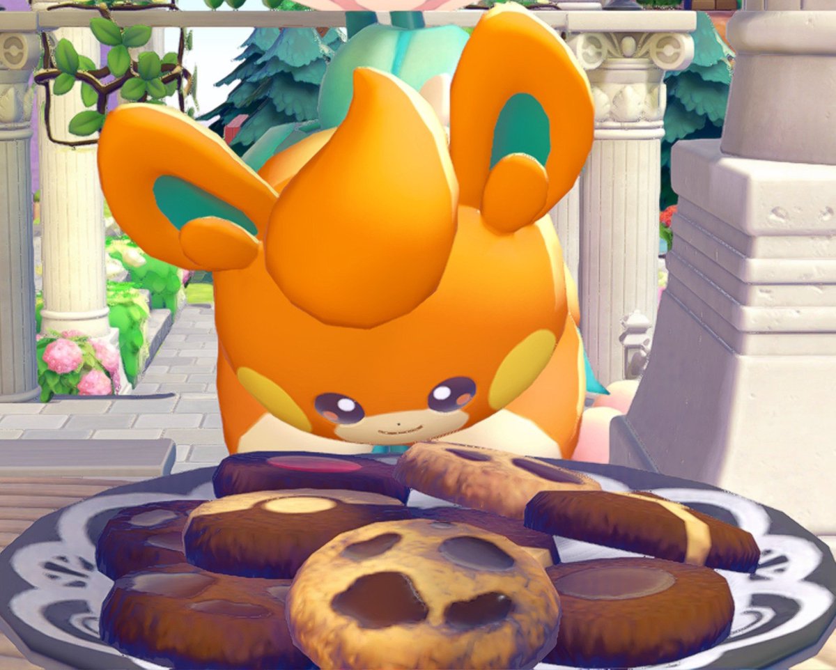 pamochi_0921's tweet photo. クッキーが気になるパモちゃん🍪 https://t.co/w1Rtse0wpU