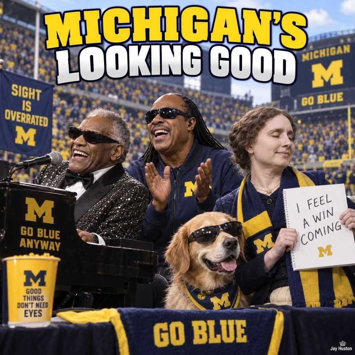MichiganSucks8's tweet photo. Michigan's looking good this season! 🕶 🤣🤣🤣 #Blind #CantSee #MichiganLost #MichiganSucks https://t.co/L3NbDVwUVM