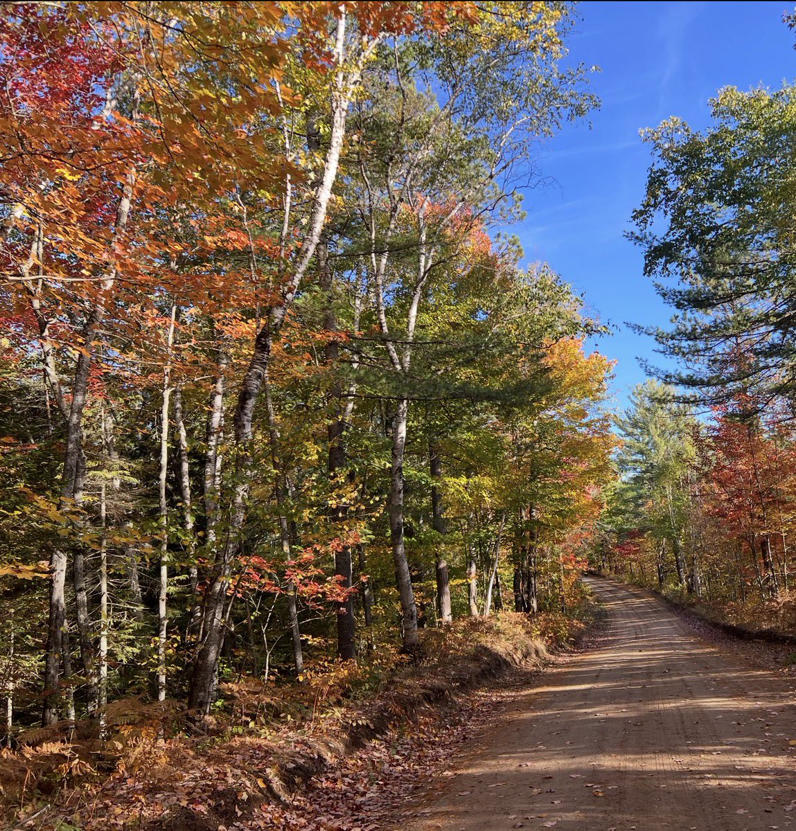 BigFish3000's tweet photo. Fall in Michigan is hard to beat. https://t.co/fDlYyFJRV0