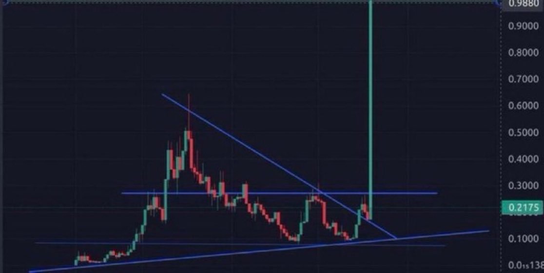 Salemxbt's tweet photo. Some plays take off before the timeline catches on

Got another one on my radar 👀 https://t.co/AuHuMhhYBe