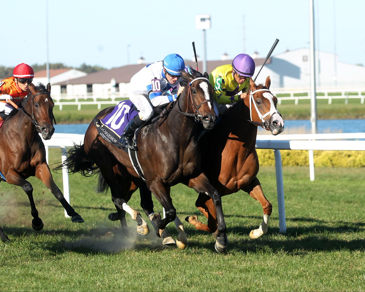 JohnGDooley's tweet photo. 🎙️ “It was a three-way thriller!”

A blanket photo-finish in the F&amp;M Turf feature on Monday’s card with MOON LAW ($16.60) getting her nose down over TARSHEA (IRE) and MAX @HSIndyRacing. Veteran Rodney Prescott rode the Tiz the Law filly for Brian Waltz in 1:41.88 (Firm 48’). https://t.co/K3KDcgnG2U