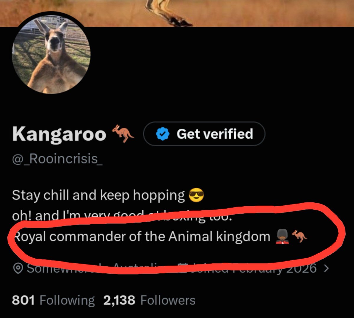 _Rooincrisis_'s tweet photo. Just Incase you forgot who I was😎 https://t.co/XqfaWbRwYa