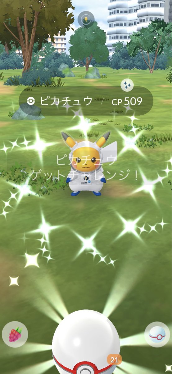 chihuahuamen's tweet photo. いらっしゃーい✨
#色違い #Shiny
#ポケモンGO #PokemonGO 
#ピカチュウ https://t.co/rmfTg5jaCG