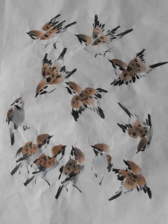 SofiaBankesx's tweet photo. [Tweet en espaol: El pequeo pájaro con plumas suaves posa en la página del libro, cumpliendo con su tarea de cada día con tranquilidad.]， https://t.co/lVDKAYMH5p