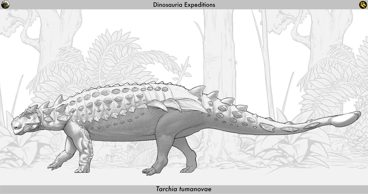 Dinosauria_RLSM's tweet photo. As for our expeditions  "site b" we split our animals into two different parts from all over the world these animals made by one of our line artists @mug_ink and with the help of our paleo advisor. 
 part 1: Triceratops porsus, Centrosaurus  apertus, Tarchia tumanovae https://t.co/jnKtwcfBnj