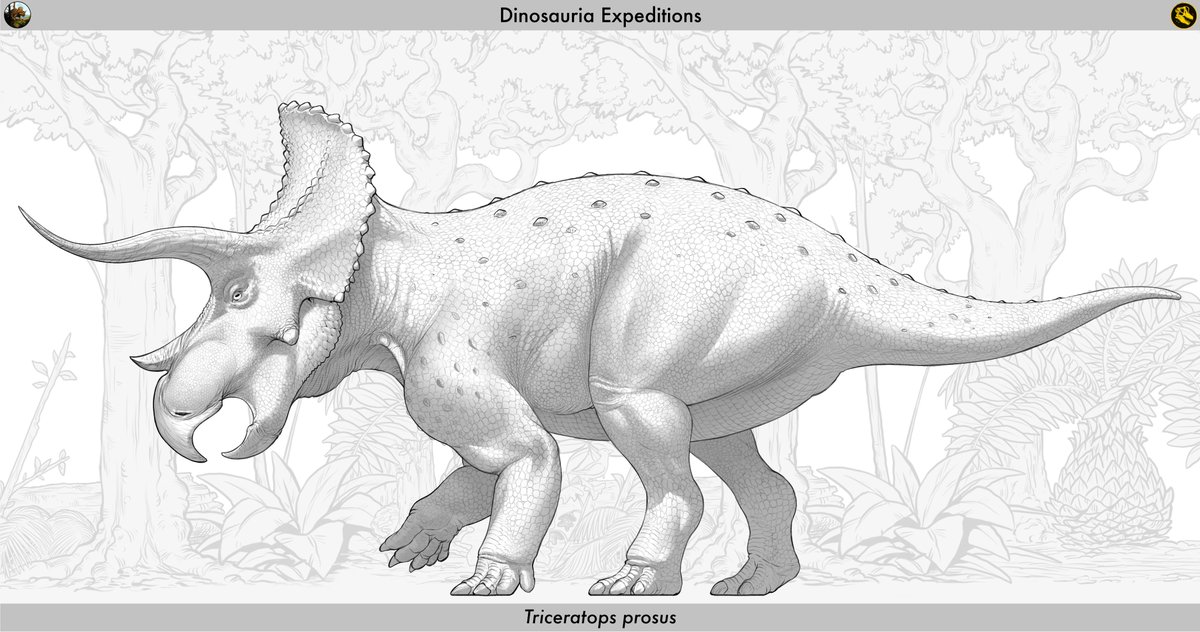 Dinosauria_RLSM's tweet photo. As for our expeditions  "site b" we split our animals into two different parts from all over the world these animals made by one of our line artists @mug_ink and with the help of our paleo advisor. 
 part 1: Triceratops porsus, Centrosaurus  apertus, Tarchia tumanovae https://t.co/jnKtwcfBnj