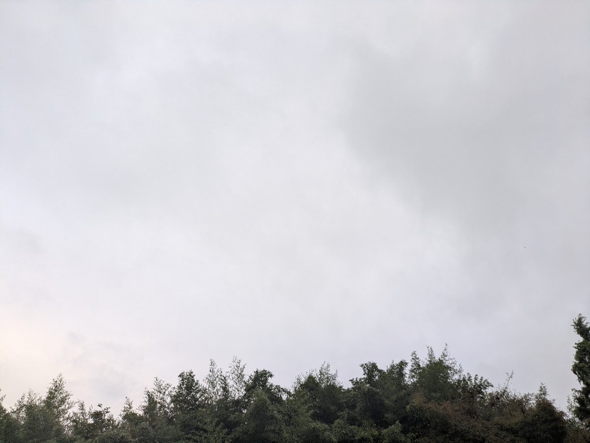 dino394gp's tweet photo. おはようございます😊
お疲れ様です
只今18℃☔☁🌤️☀
霧雨降ってます😅

今日も宜しくお願い致します🙇
皆さん、ご安全に🍀🍀🍀🚗💨

#滋賀県イマソラ
#VitzGs
#ミライース https://t.co/li1hwf31Fl