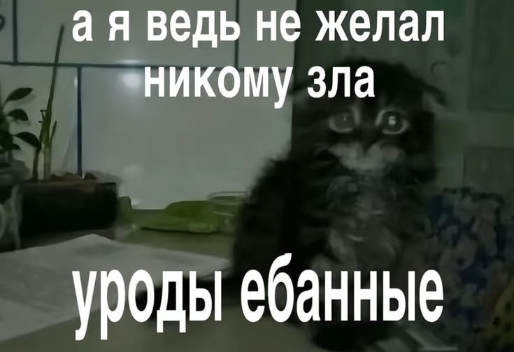 minamocry's tweet photo. Мне в ср��ду нужно будет сходить в школу впервые.. https://t.co/1dWnZULati