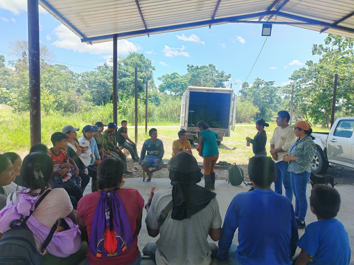 Agricultura_CZ2's tweet photo. #Napo | ¡Más oportunidades para nuestros productores!

16 productores de Chonta Punta y Ahuano comercializaron 3,5 toneladas de plátano barraganete verde a la empresa privada.

🤝 Los enlaces comerciales fortalecen el acceso a mercados. https://t.co/vPLergUqSy