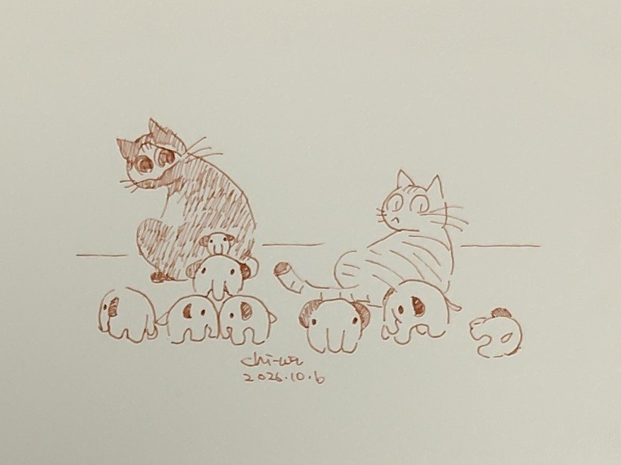daresorearecore's tweet photo. 今日はドムドムハンバーガーの日らしい。
#イラスト #猫 #今日は何の日 https://t.co/4OJoLpH8Dh