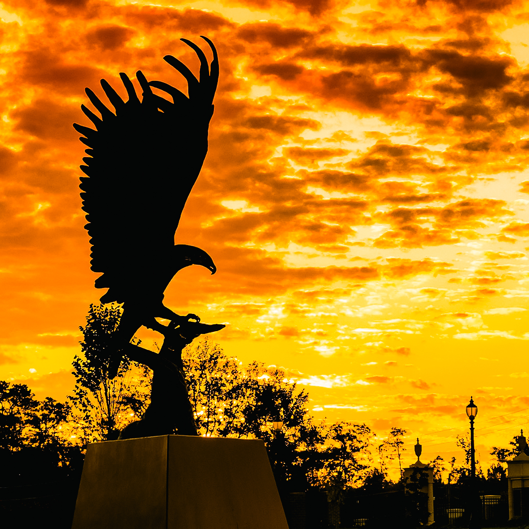 SouthernMiss's tweet photo. A little fall color in the sky https://t.co/xhEZvIKpl7