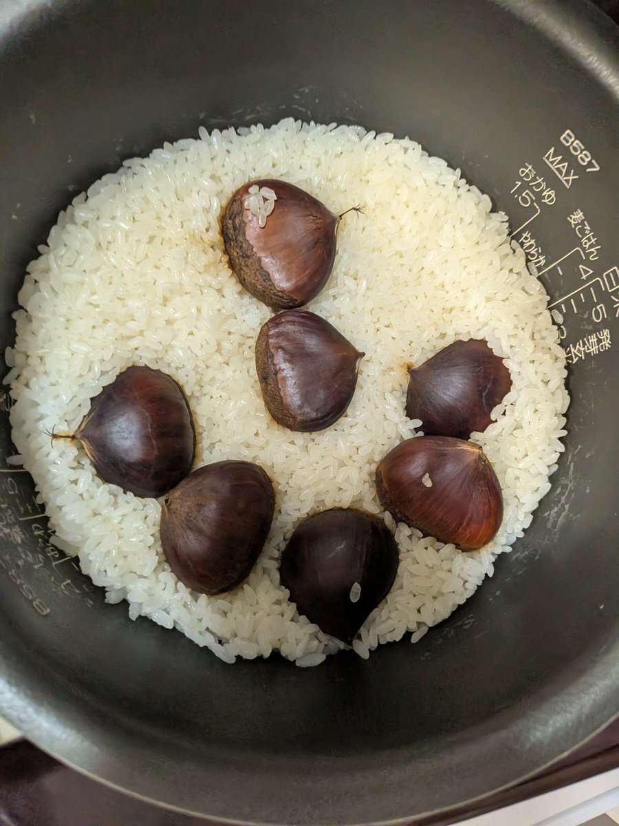 TeimurazLezhava's tweet photo. 昨日の夜、寝ぼけて炊いた栗ご飯です。今日の自分にお詫び申し上げます。 https://t.co/EfIWZnYmBd