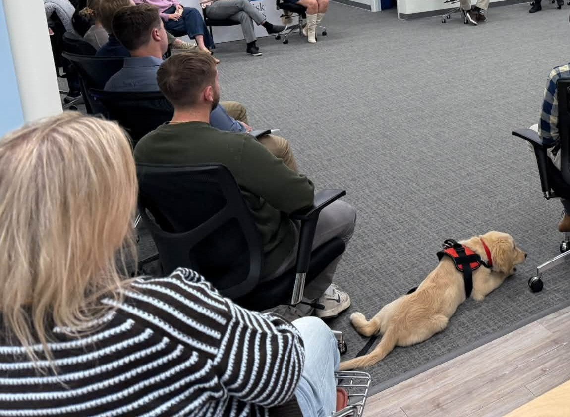 ECADServiceDogs's tweet photo. Monday motivation from pup in training Blackjack: show up, settle in, and enjoy the small things (like a good bone). #ECADServiceDogs #MondayMotivation https://t.co/oghb7z6PtV