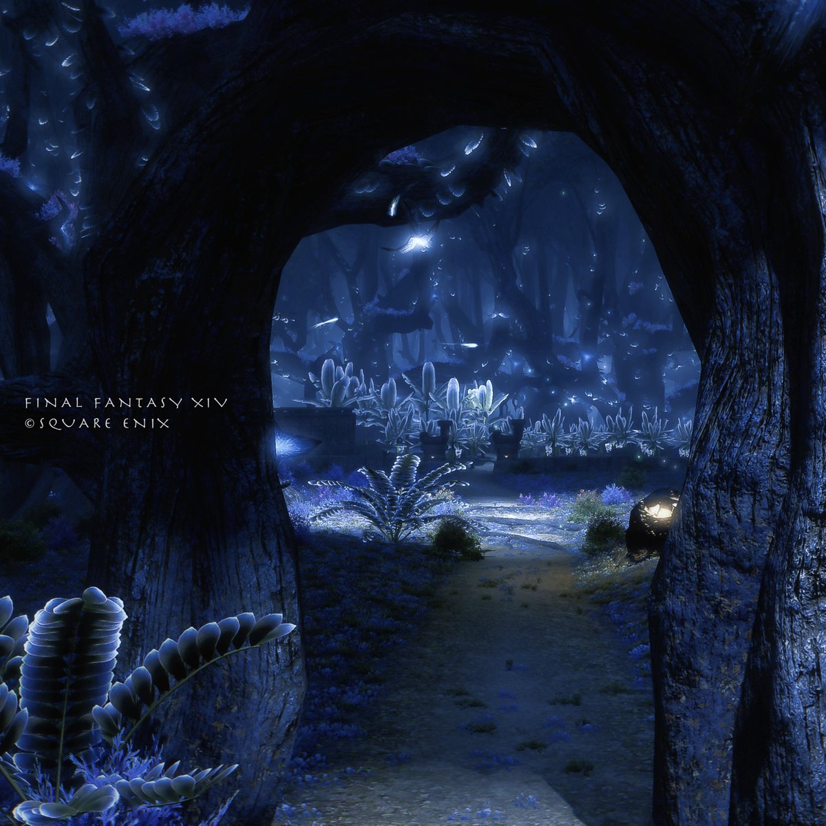 Racrffxiv's tweet photo. *⋆⸜ᴳᴼᴼᴰ ᴹᴼᴿᴺᴵᴺᴳ⸝⋆*
#FF14風景 https://t.co/PxjjABYzV5