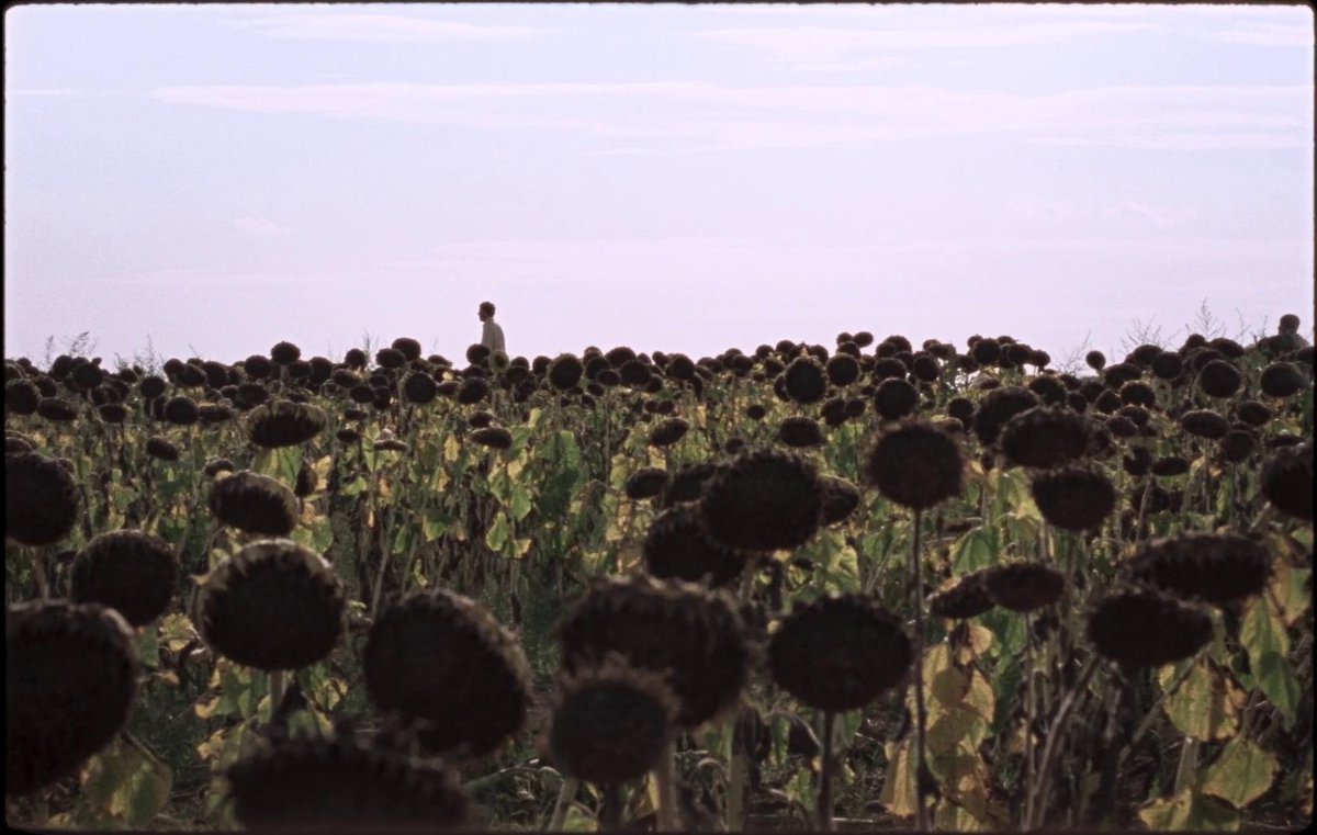 DonBraisLopez's tweet photo. La quimera (2023, Alice Rohrwacher) https://t.co/8r6YiOHHf3