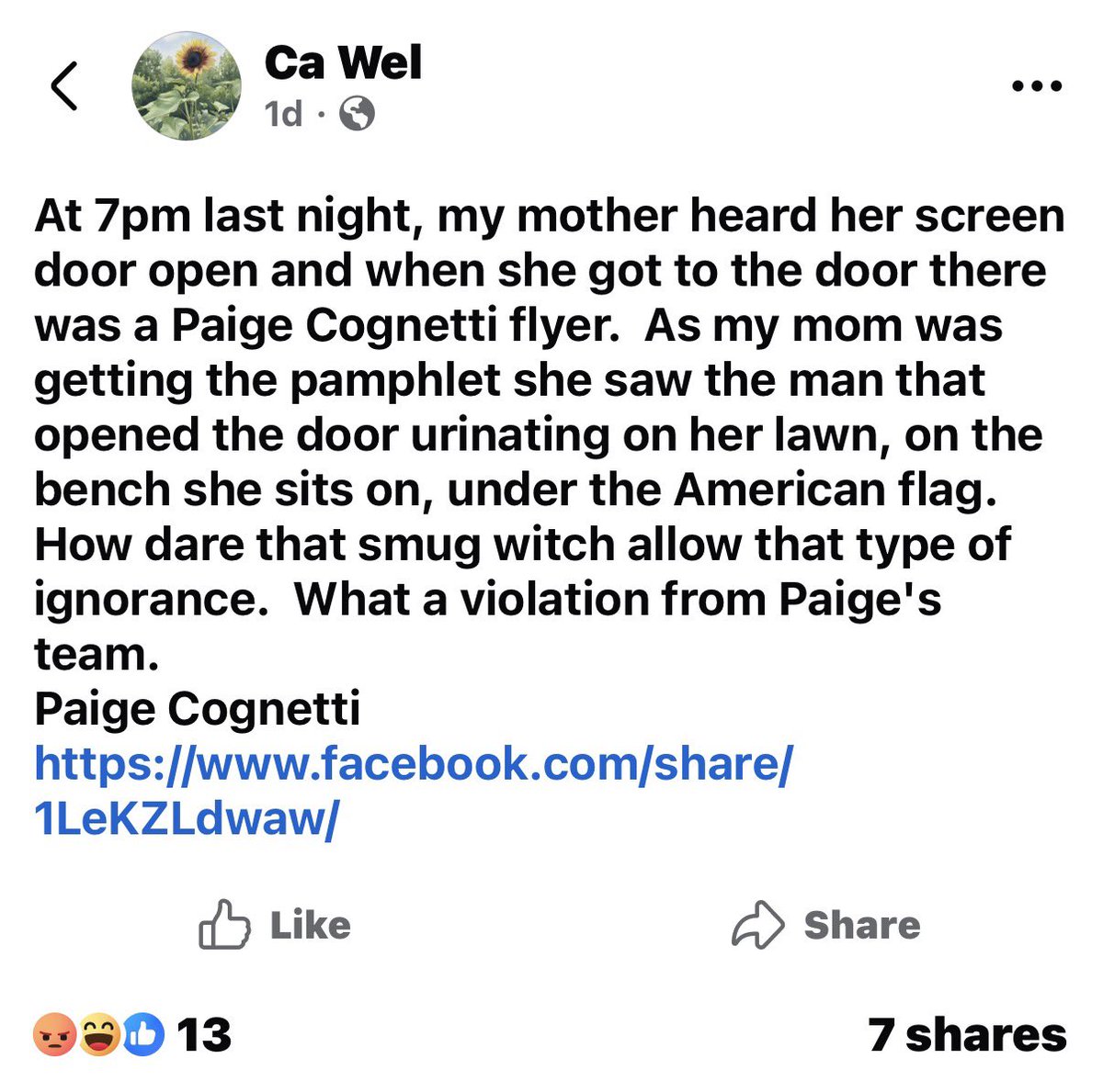 ScottPresler's tweet photo. Dear staffers for Paige Cognetti, 

please STOP urinating on neighbors’ properties. 

“As my mom was getting the pamphlet, she saw the man that opened the door urinating on her lawn, on the bench she sits on, under the American flag.” https://t.co/kuopETTKgc