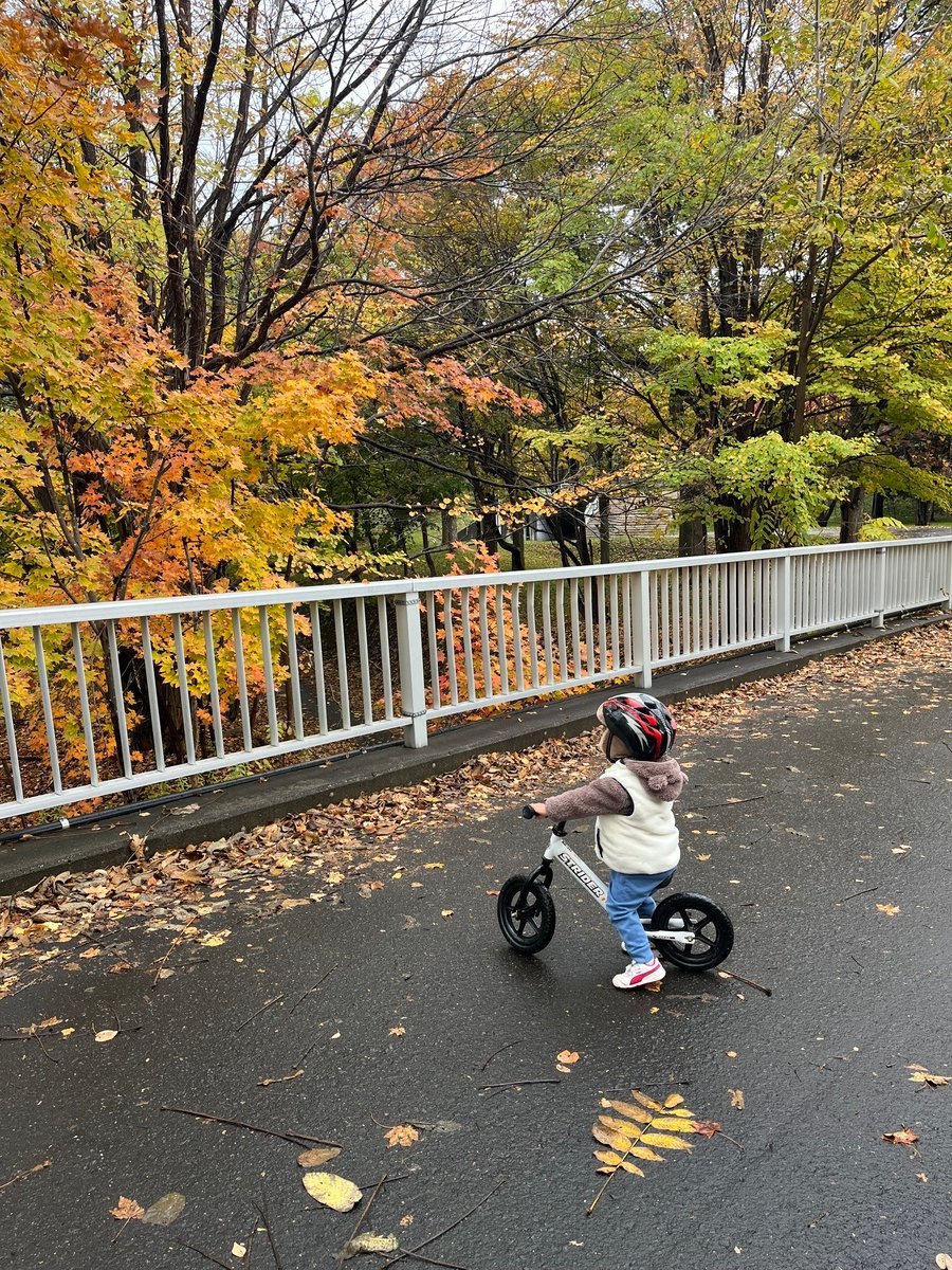 StriderBikes's tweet photo. Looking for a way to spend time outside with your kiddos this fall? Family walks and bike rides are a great way to explore together! https://t.co/G6HKyN2Esp https://t.co/tgTP4iNcDY