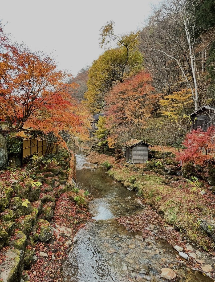 junpyon10's tweet photo. 法師温泉 長寿館😌テルマエ・ロマエのロケ地🎥紅葉の時期はとても美しかった🍁🥺✨️有名な湯船だけではなく女風呂もとても紅葉が綺麗で美しくて撮禁のためのせられないのが残念だけど宿泊だと女性専用タイムもあるので安心♨️ご飯もとても美味しかった🍚湯船写真は公式から😌群馬も良いよね♨️#温泉 https://t.co/3Wss8pJuKV