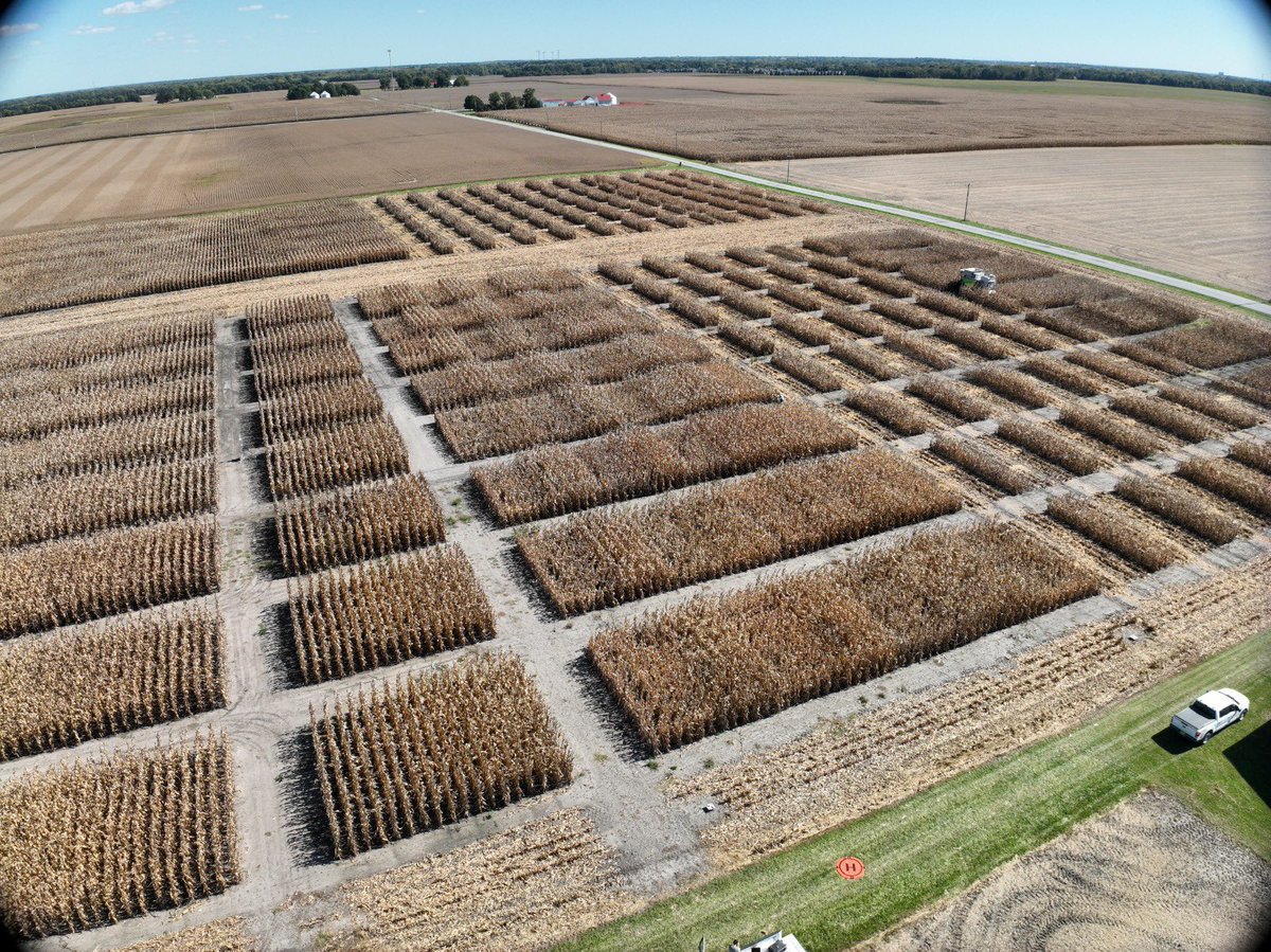 PurdueCorn's tweet photo. Research trial harvest is off and running.

@PurdueAg @PurdueExtension @PurdueAgronomy @INCornFarmers https://t.co/7yrEr4fIvn