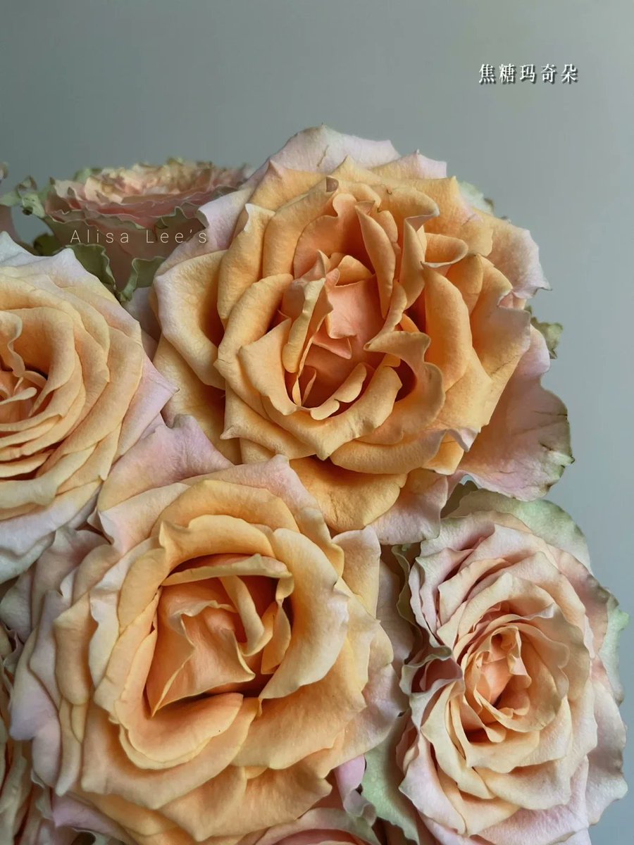 XimenaDyllvc's tweet photo. [Hoy disfruto un café con una barra de chocolate de sabor a rosa y caramelo, un placer perfecto para el descanso!] https://t.co/UWeHEi61x1