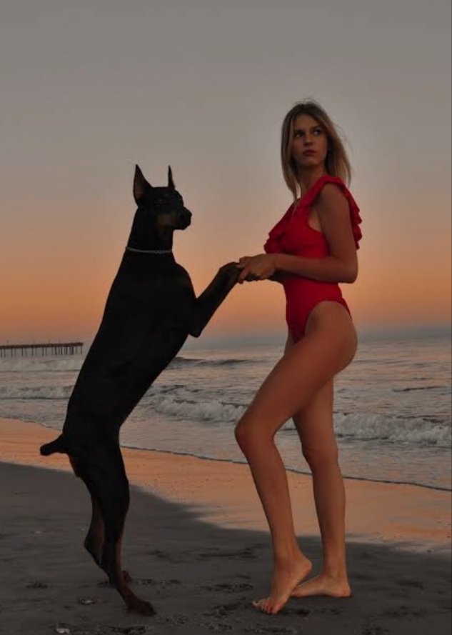 sweet_hannie45's tweet photo. I give pleasure to my dog 🥰
https://t.co/IMbT0TYo2K

#zoophillia #zoosarevalid #beastiality #dogknot #zooprideisvalid #zoophile
#antizoo #antizoophile #zoopride
#zoophilepride
#Bestiality #trending https://t.co/63iyaCEGF7