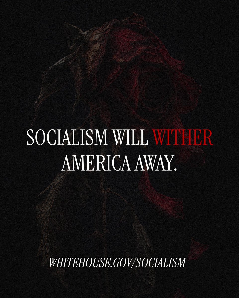 MrGrahamHodsdon's tweet photo. Socialism will wither away our economy, safety and American values. 🥀

https://t.co/bRL5lAFWky https://t.co/uwvi37VvDO