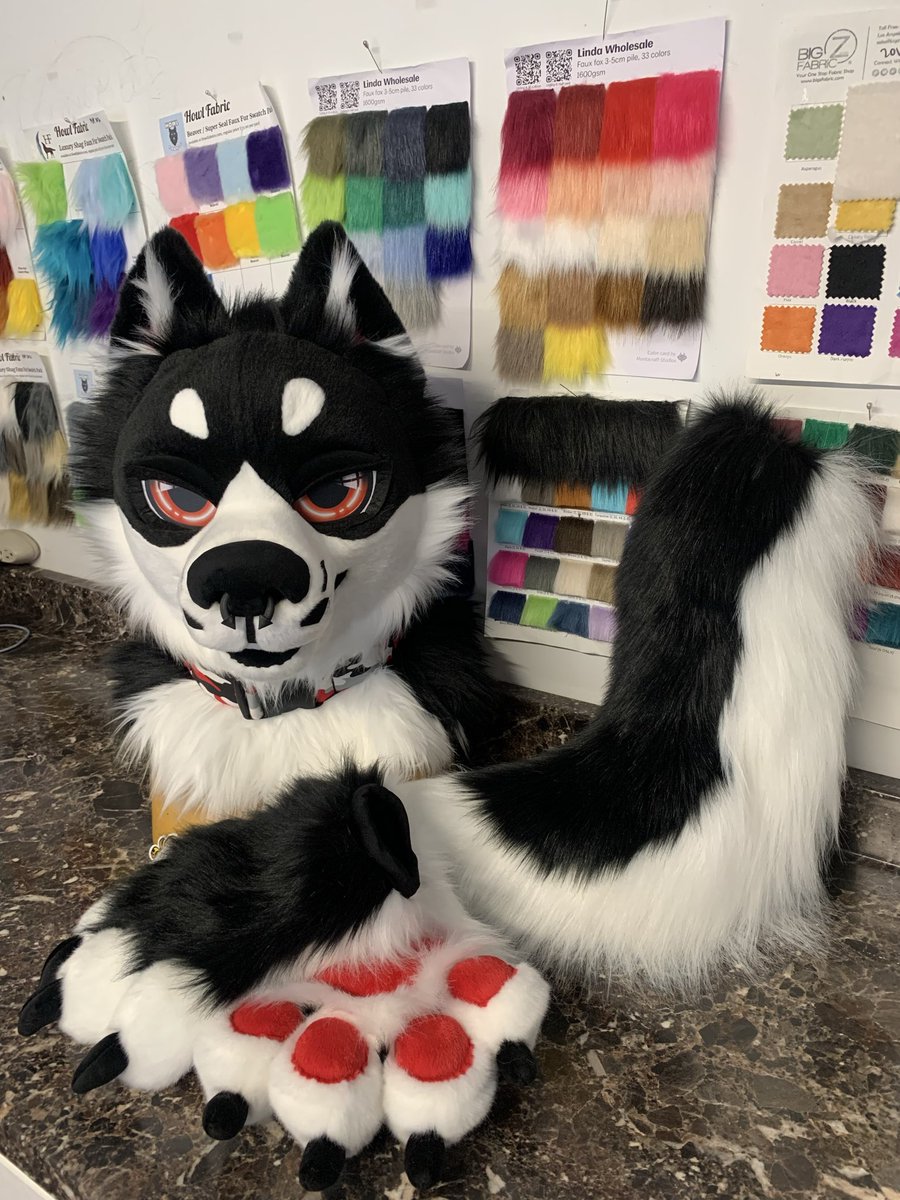 WhatsUpHotDog's tweet photo. ✨🖤🤍 Fursuit partial for sale 🤍🖤✨
Includes:
-Lightweight head with neck zipper
-Puffy stuffed handpaws
-Fluffy tail with belt loops
More info in comments below ⬇️ 

Currently up for offers starting at $2500. Free shipping within the US. Dm me to bid 💖 https://t.co/VQronqdb4j