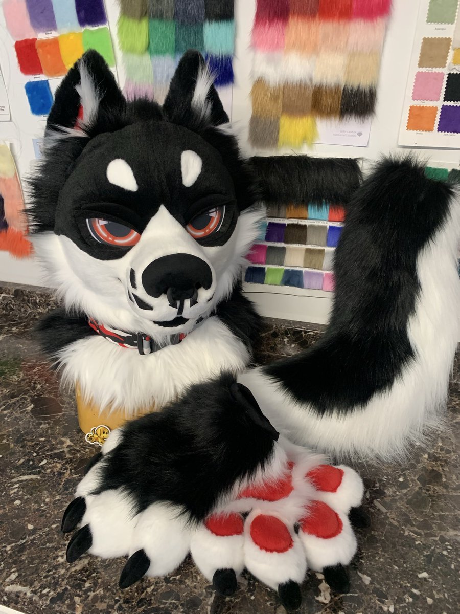 WhatsUpHotDog's tweet photo. ✨🖤🤍 Fursuit partial for sale 🤍🖤✨
Includes:
-Lightweight head with neck zipper
-Puffy stuffed handpaws
-Fluffy tail with belt loops
More info in comments below ⬇️ 

Currently up for offers starting at $2500. Free shipping within the US. Dm me to bid 💖 https://t.co/VQronqdb4j