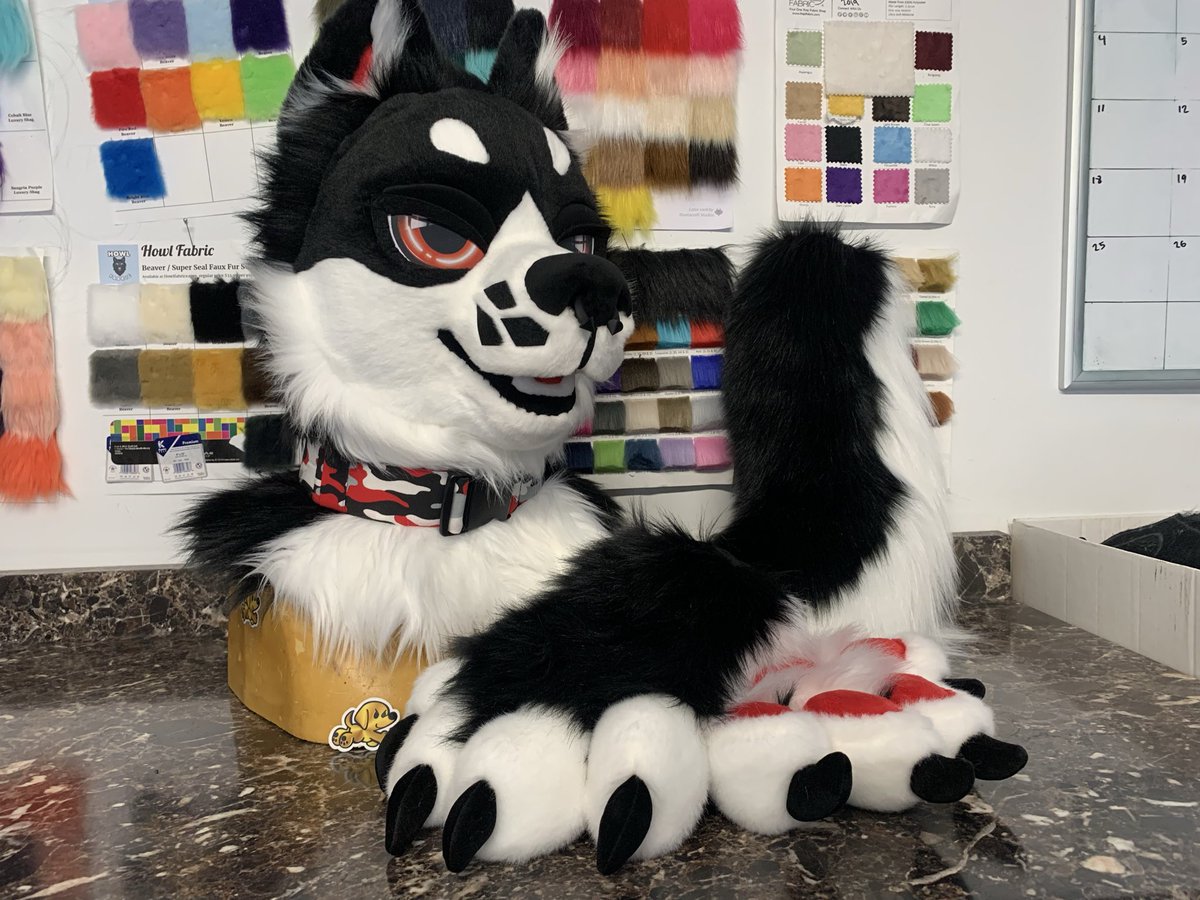 WhatsUpHotDog's tweet photo. ✨🖤🤍 Fursuit partial for sale 🤍🖤✨
Includes:
-Lightweight head with neck zipper
-Puffy stuffed handpaws
-Fluffy tail with belt loops
More info in comments below ⬇️ 

Currently up for offers starting at $2500. Free shipping within the US. Dm me to bid 💖 https://t.co/VQronqdb4j