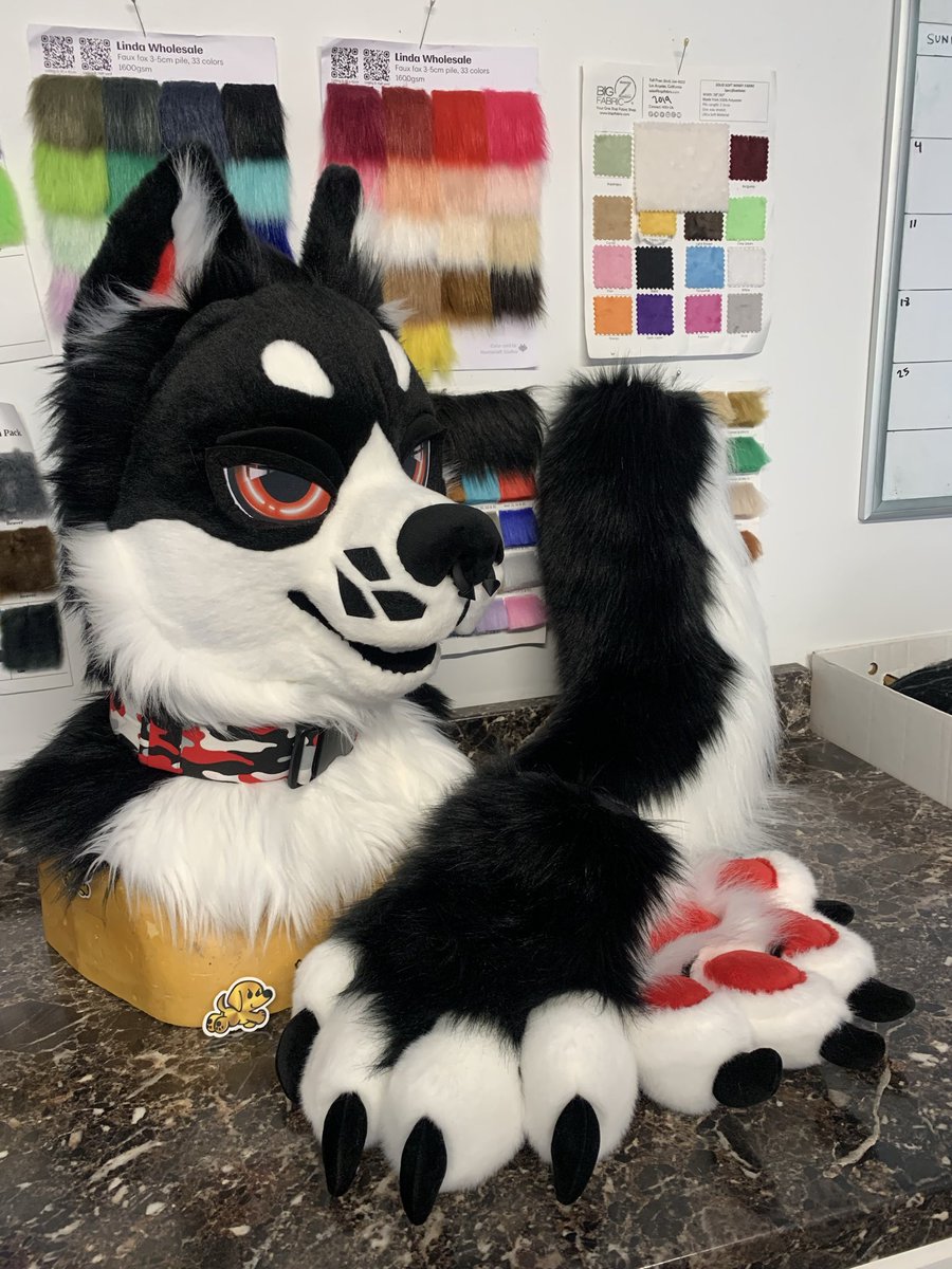 WhatsUpHotDog's tweet photo. ✨🖤🤍 Fursuit partial for sale 🤍🖤✨
Includes:
-Lightweight head with neck zipper
-Puffy stuffed handpaws
-Fluffy tail with belt loops
More info in comments below ⬇️ 

Currently up for offers starting at $2500. Free shipping within the US. Dm me to bid 💖 https://t.co/VQronqdb4j