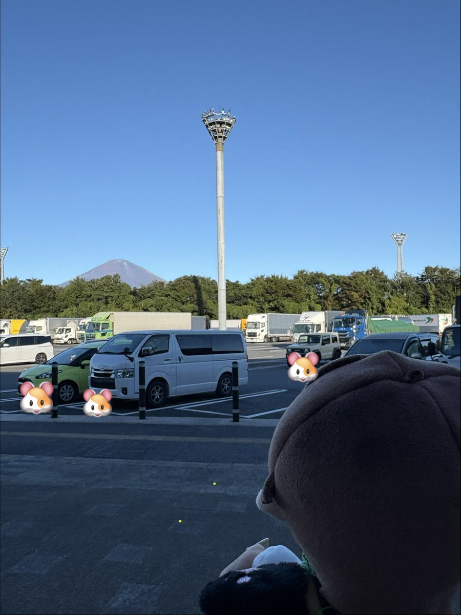 azukichi0000's tweet photo. はらちゃ、富士山だよ🗻（多分） https://t.co/D3aPJtqKYA