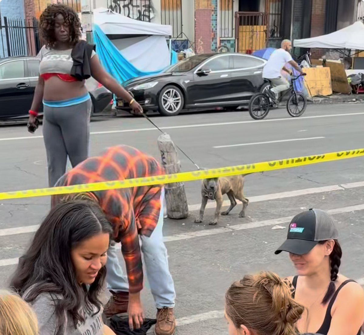joey_tuccio's tweet photo. This lady is responsible for the death of the puppy. She denied vet care for weeks and openly wanted to breed him. He’s now under soil next to syringes. She deserves jail. https://t.co/pabL6nqB8f