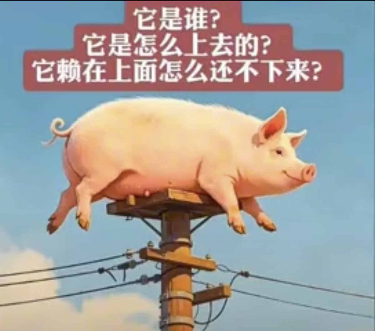 peace13278's tweet photo. @blyen46 誰願意和馬列黃俄一個國？誰願意被一頭二百斤的豬統治，知道🐷死為止？
我也想了三天三夜也想不明白，被這頭豬蹂躪，不以為恥，反而為榮？還要拉別人來一起被🐷蹂躪？ https://t.co/N4LP3MchnX