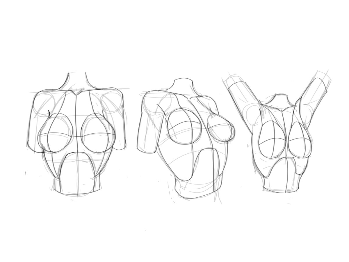 Drawskiie's tweet photo. Day 11 | Learning how to draw until I become a pro H-artist.

Today's study: female Breasts! 🎨🔥
2/2

 Feedback is always welcome! https://t.co/dcjfcLznm9