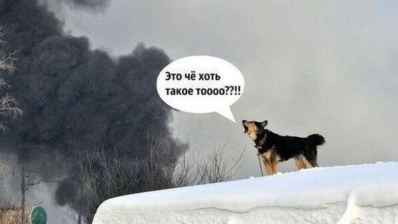 antonykshpr tweet picture