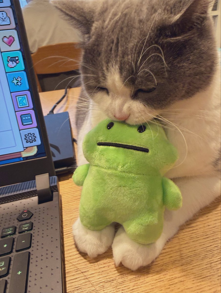 fricthefrog's tweet photo. 🐸😻 https://t.co/bDCMkkLe4n