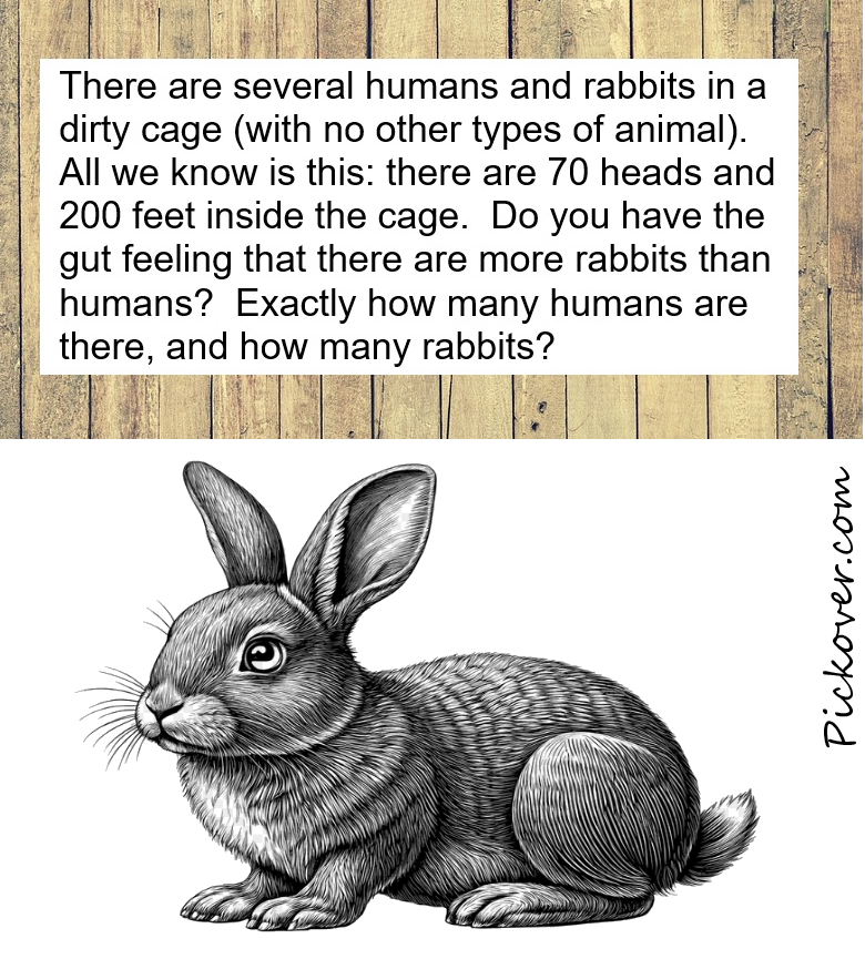 pickover's tweet photo. Math problem.  The rabbit and human puzzle. https://t.co/b63RC7gykR