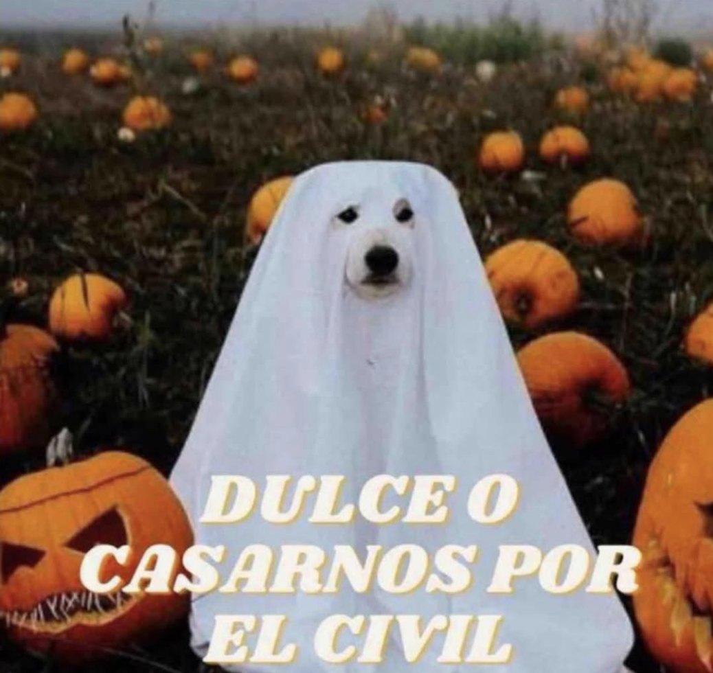 Guarromantico_'s tweet photo. Tú decides mailob. https://t.co/oXPDKNFfM1