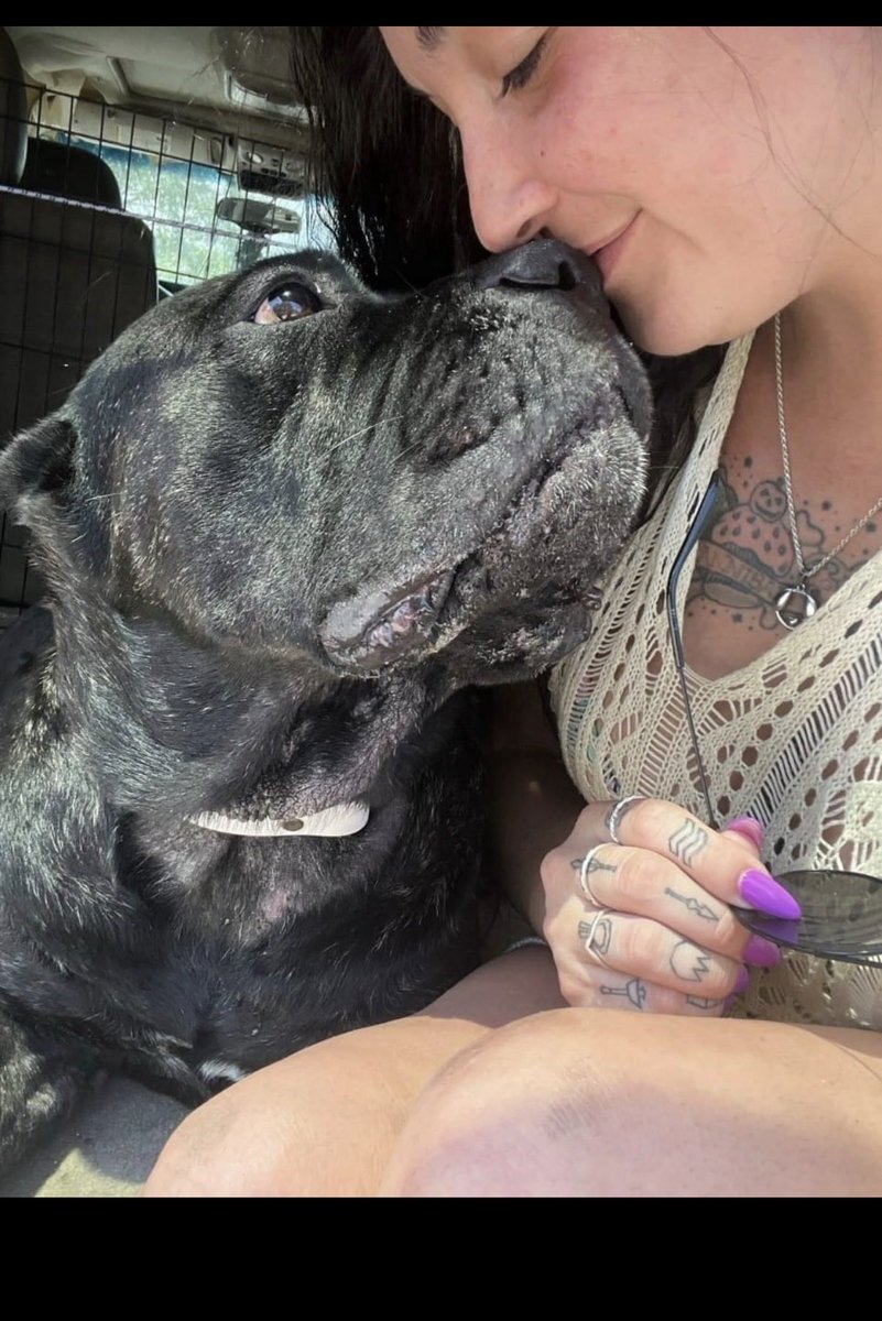 Cupcake3vzb's tweet photo. Watch my dog pound my pussy so hard on Telegram🥵🥵https://t.co/YOUJ9a66Vg https://t.co/kvi8yK7HkC