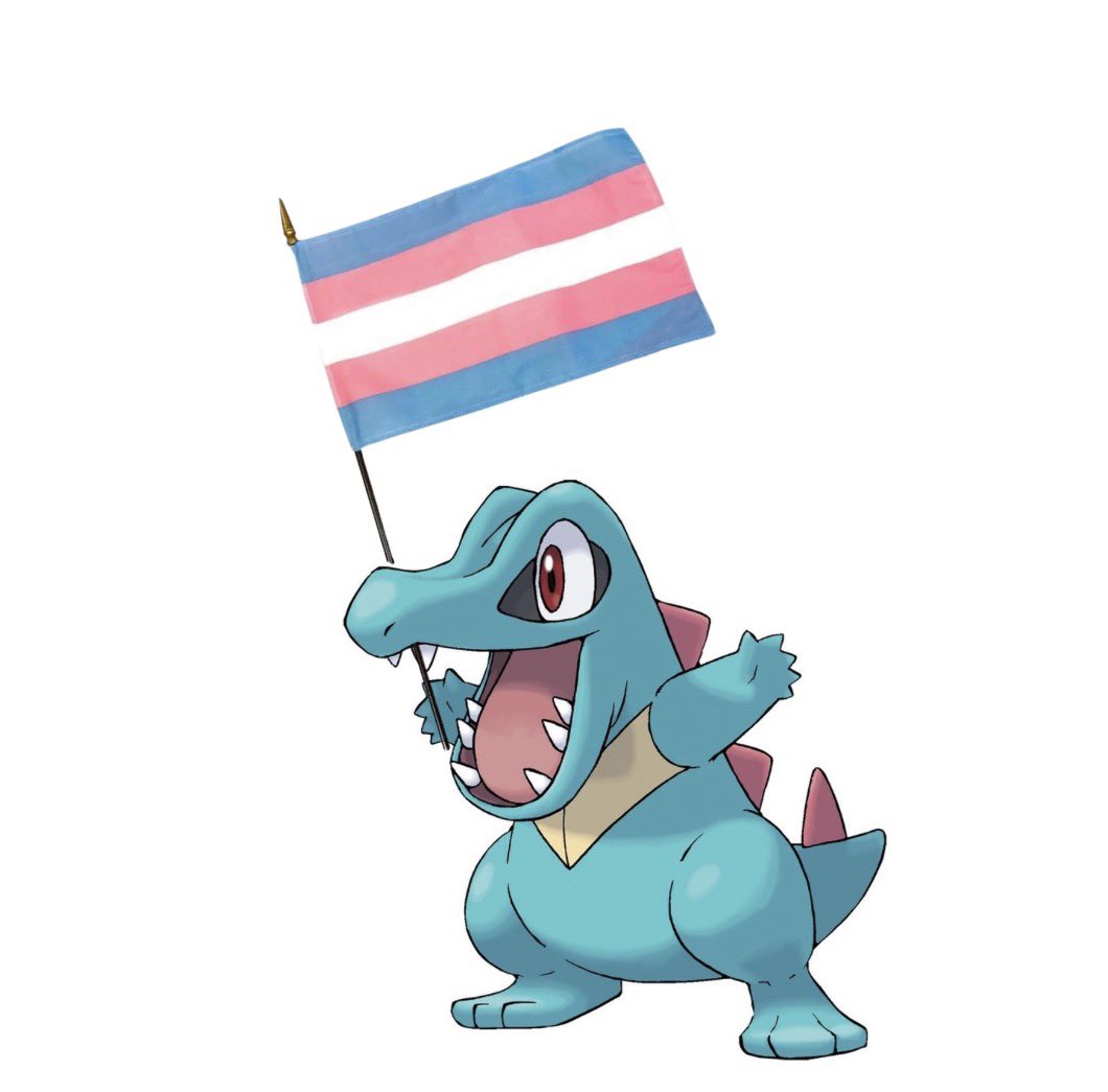 AcervoTotodile's tweet photo. proteja vidas trans. https://t.co/ipJ6QRDlXW