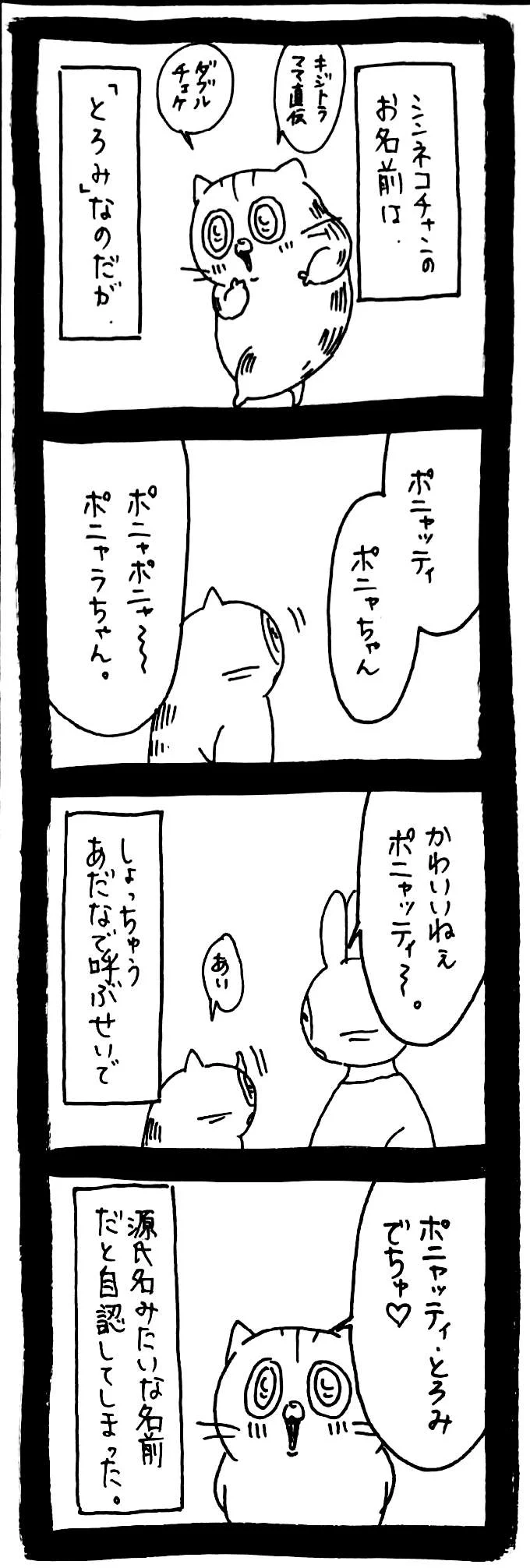 うさぎ の みみ ちゃん たぬき