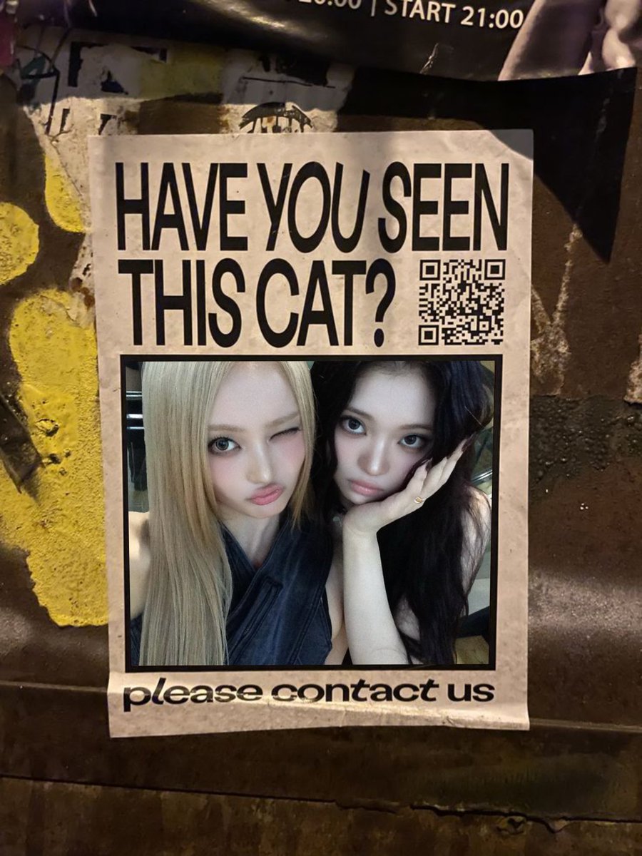 yeieul's tweet photo. "Have you seen these cats?" Looking a little lost, roaming through the city like we missed the memo, yet somehow we still found each other. A little chaos follows wherever we go, but the looks stay sharp and the attitude stays locked in. https://t.co/nhxcnFioCa