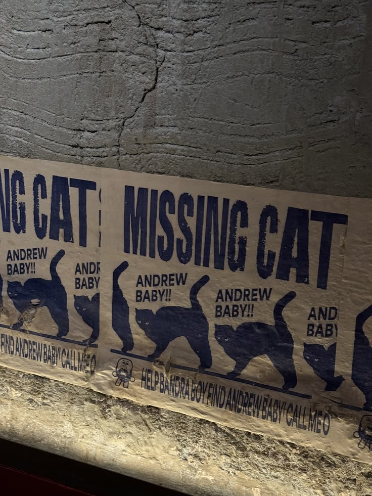 yeieul's tweet photo. "Have you seen these cats?" Looking a little lost, roaming through the city like we missed the memo, yet somehow we still found each other. A little chaos follows wherever we go, but the looks stay sharp and the attitude stays locked in. https://t.co/nhxcnFioCa