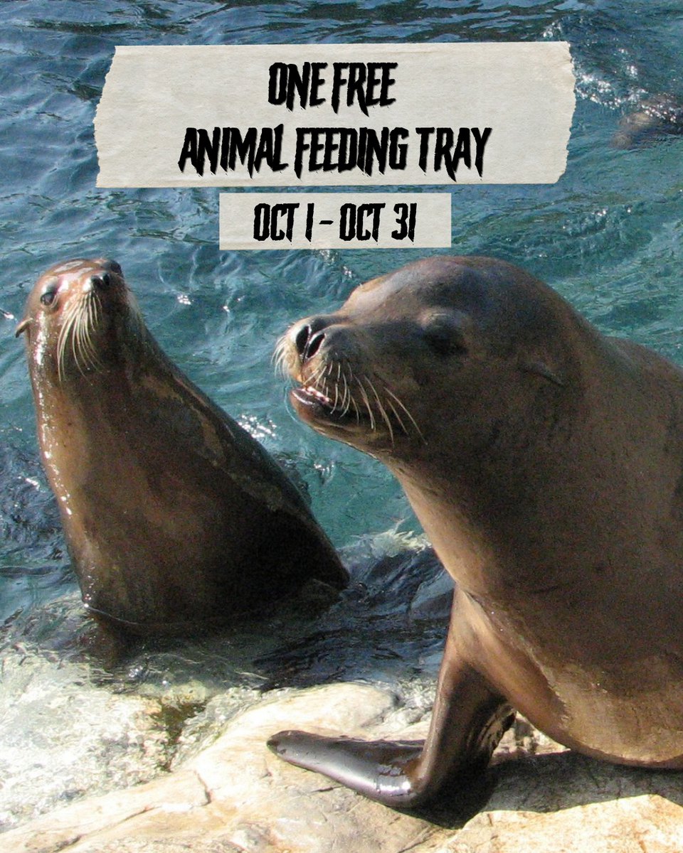 SeaWorldTexas's tweet photo. Pass Members, spooky rewards are waiting for you all month long! 👻🎃 Enjoy a FREE guest ticket, a one-time Fear Pass, SeaBucks and more!

Not a Pass Member yet? Become one today and unlock exclusive rewards all month long! 

Learn more: https://t.co/N0o0vcEpQH https://t.co/RAldctkpym