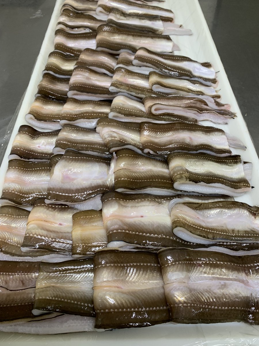 skanayaneko's tweet photo. 開きました、お魚の名前分かるかな❓ https://t.co/7rGdBmsOVy