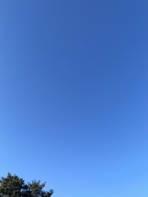 A mostly clear bright blue sky with a small portion of a green pine tree visible at the bottom left corner of the frame.