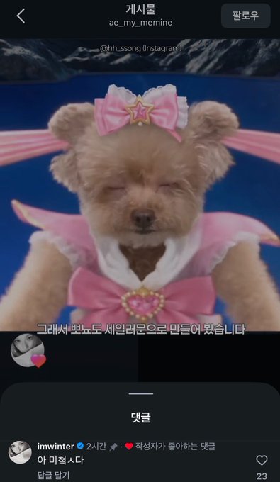 A Korean Instagram post features a small brown dog dressed in a pink and white Sailor Moon-style outfit with a star bow, with Korean text including 'ae_my_memine', '@hh_soong', and 'imwinter'.