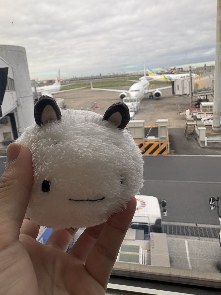 maru_poccha's tweet photo. 香川へゴー！ https://t.co/qxXFE3N5uN