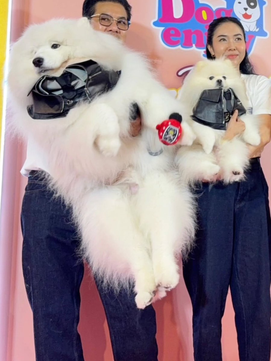 GrycCmpbl's tweet photo. ♥️🥹🐶

Ig feed: haruto_moro 

#JerHighLOOOVEXDunk 
#JerHigh 
#ดังณัฎฐ์ชัย #dunknatachai
#WholeBodyLove https://t.co/Fxhzt9Evno
