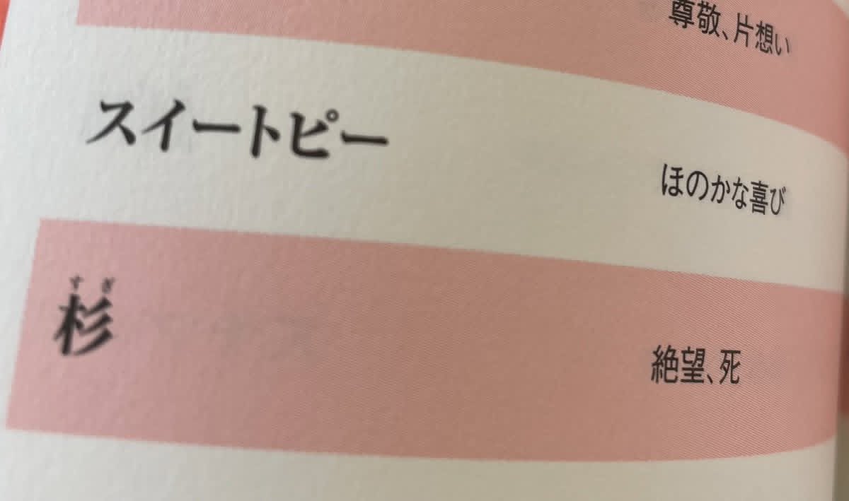 AshleyJ62727's tweet photo. この花言葉作ったヤツ、絶対花粉症 https://t.co/ikv0lWBBK2